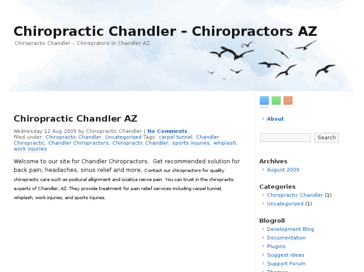 www.chiropracticchandler.org