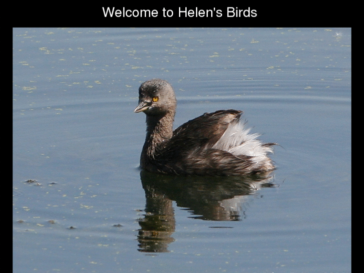 www.helensbirds.com