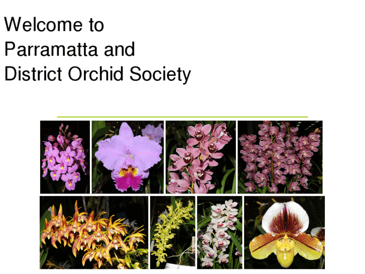 www.parramattaorchidsociety.org