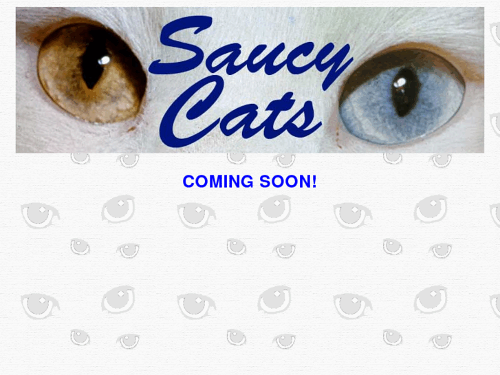 www.saucycats.com