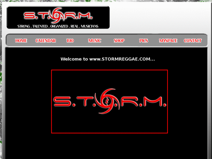 www.stormreggae.com