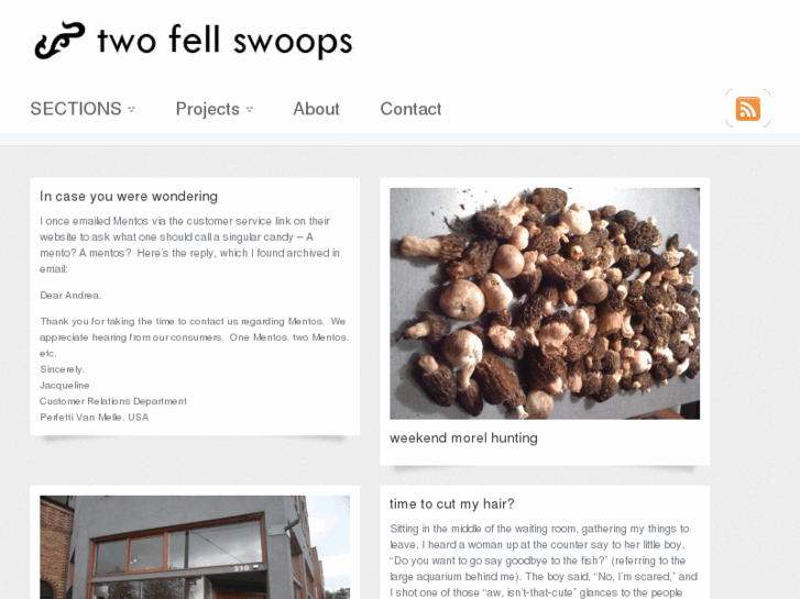 www.twofellswoops.com