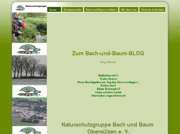 www.bachundbaum.de