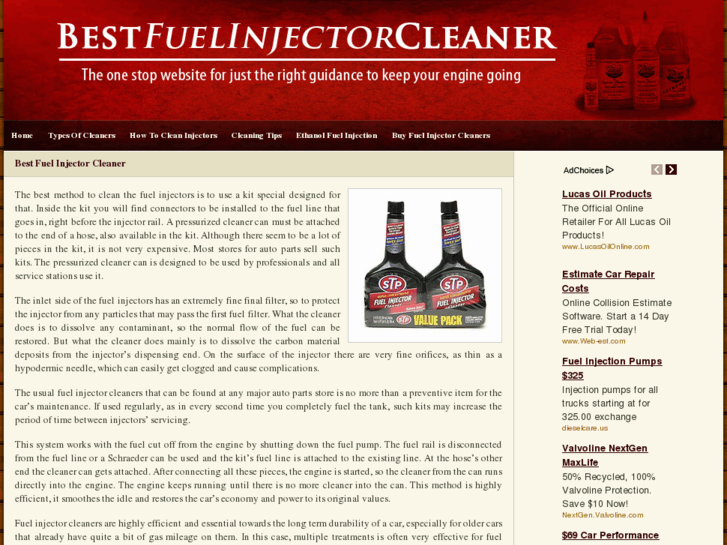 www.bestfuelinjectorcleaner.com