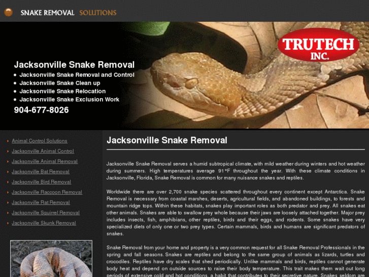 www.jacksonvillesnakeremoval.com