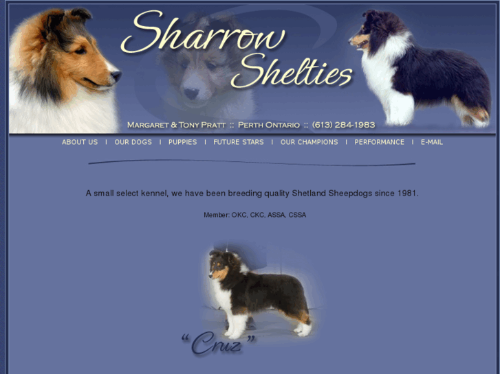 www.sharrowshelties.com