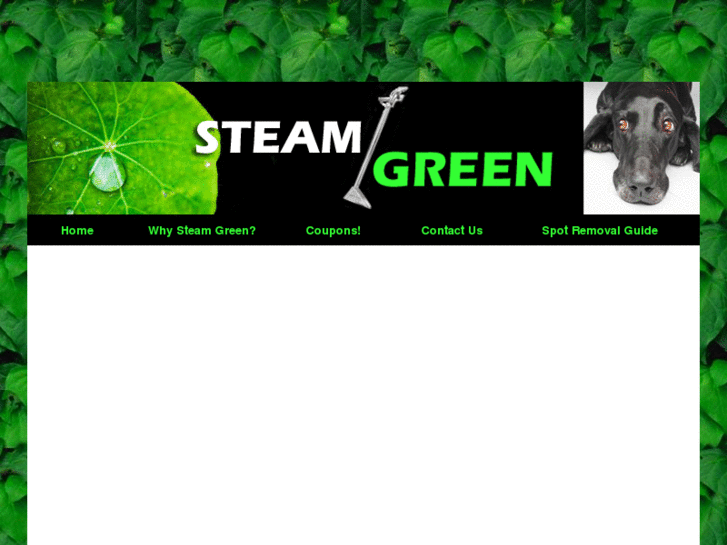 www.steamgreen.com