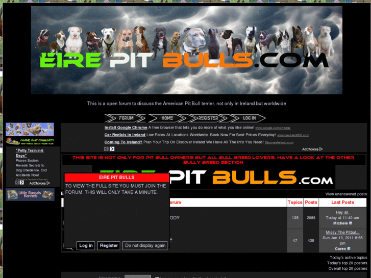 www.eirepitbulls.com