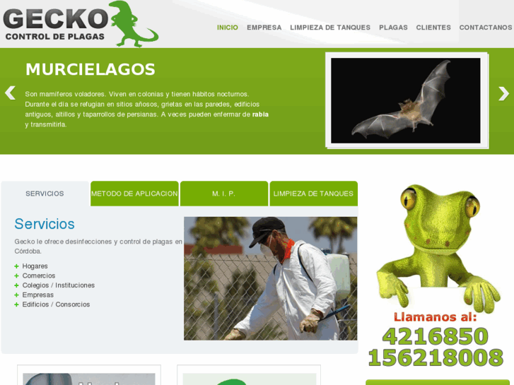 www.geckodesinfecciones.com.ar