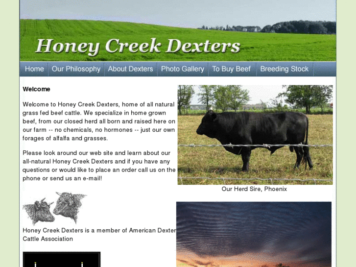 www.honeycreekdexters.com