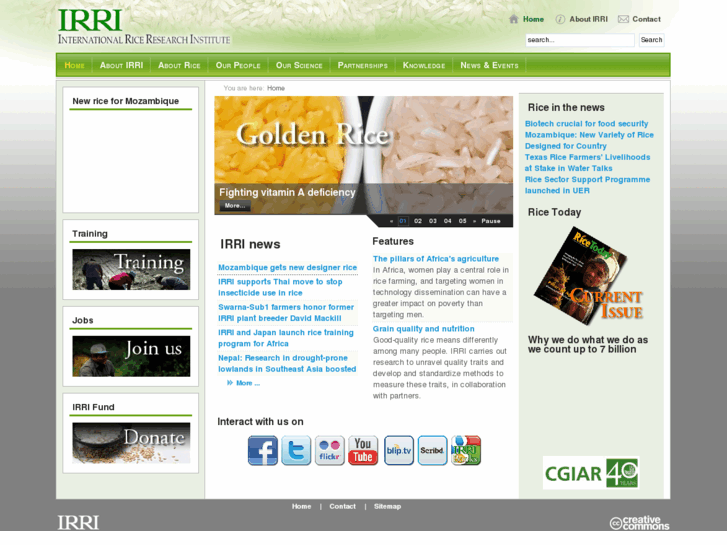 www.irri.org