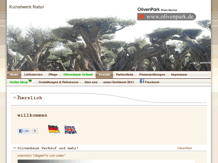 www.olivenbaum-direkt.de