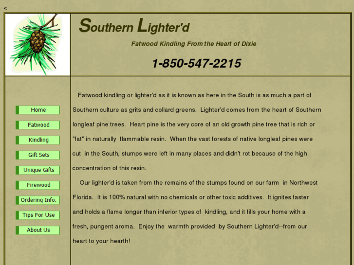 www.southernlighterd.com