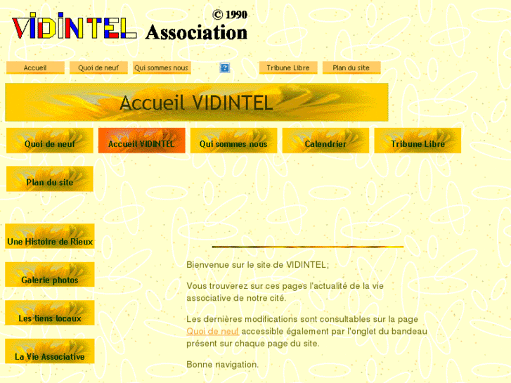 www.vidintel.org