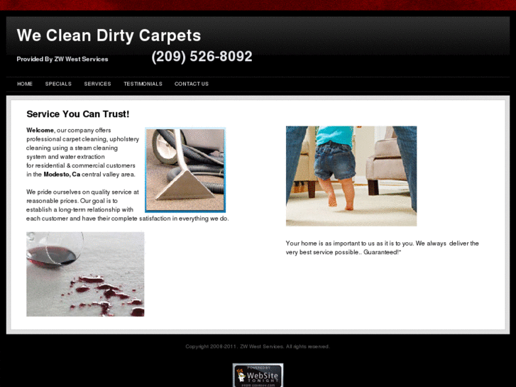 www.wecleandirtycarpets.com