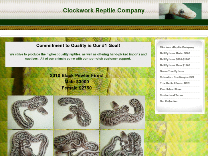 www.clockworkreptile.com