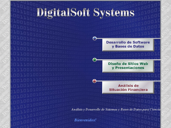 www.digitalsoftsystems.com