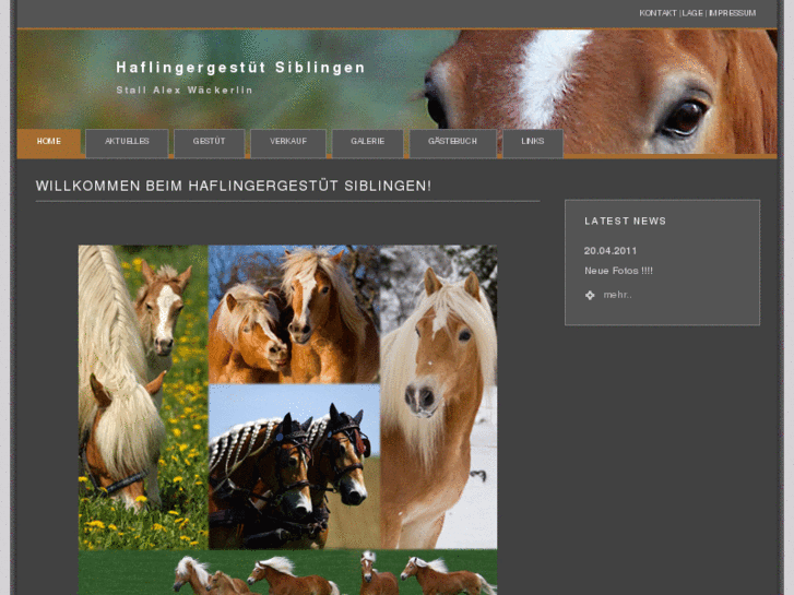 www.haflingergestuet.ch