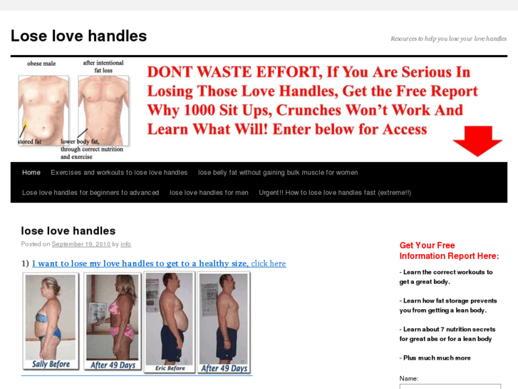 www.lose-love-handles.com