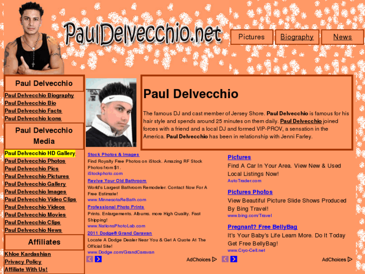 www.pauldelvecchio.net