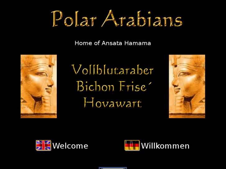 www.polararabians.de