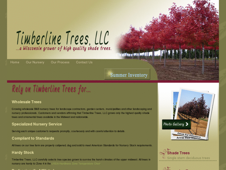 www.timberlinetreesllc.com