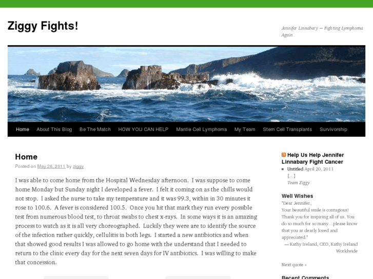 www.ziggy-fights.com