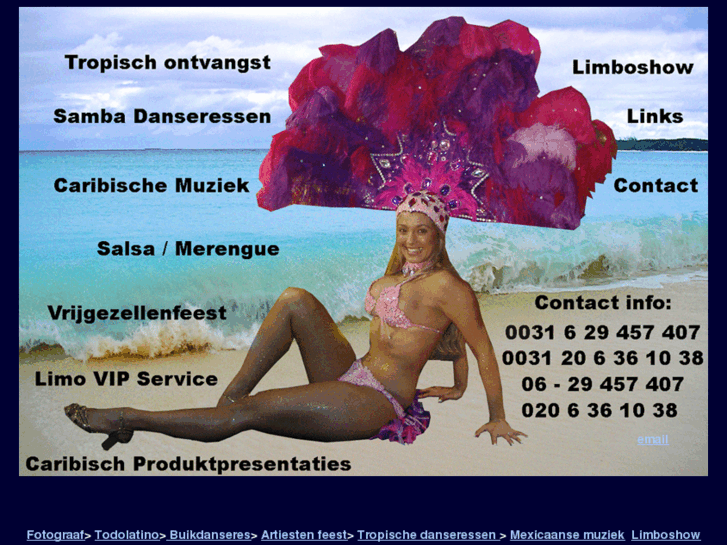 www.caribischthemafeest.be