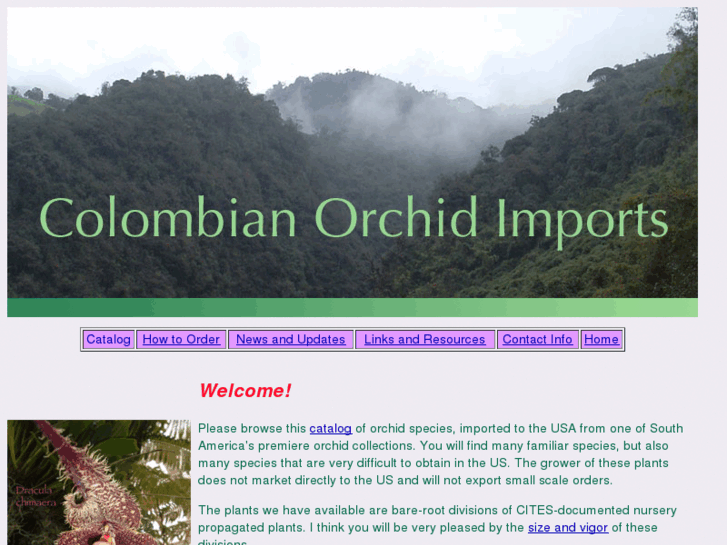 www.colombianorchidimports.com