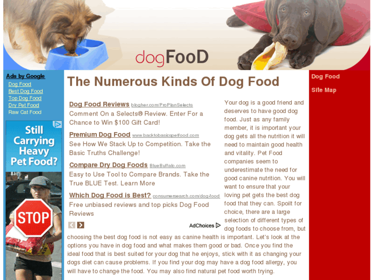 www.dogfoodtoday.com