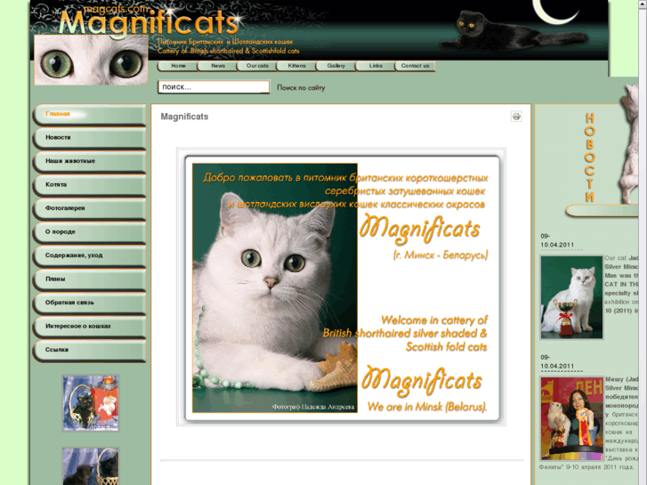 www.magcats.com