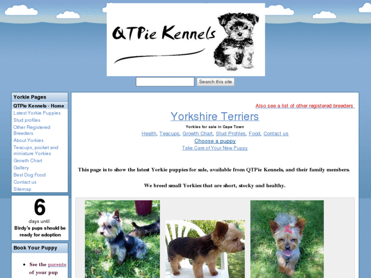 www.yorkiesa.com