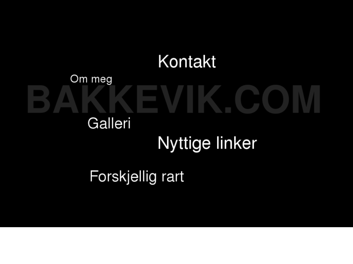 www.bakkevik.com