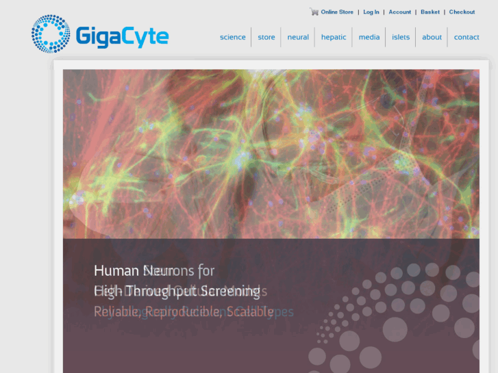 www.gigacyte.com