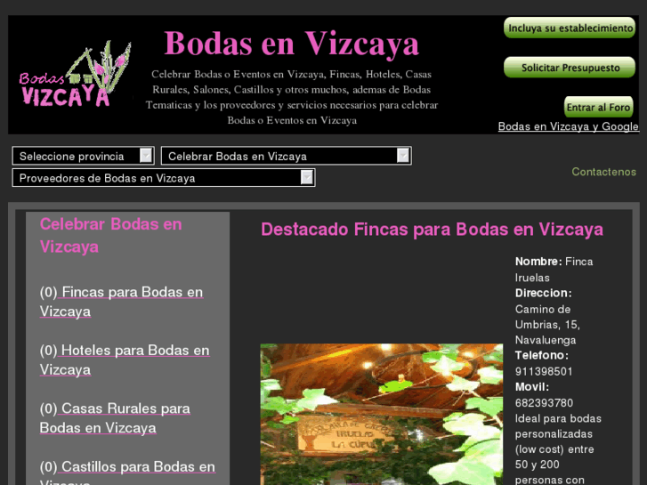 www.bodasenvizcaya.com