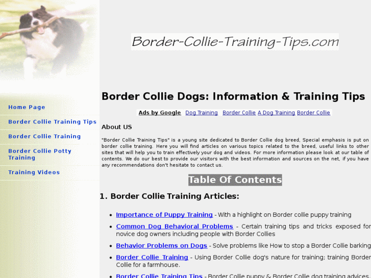 www.border-collie-training-tips.com