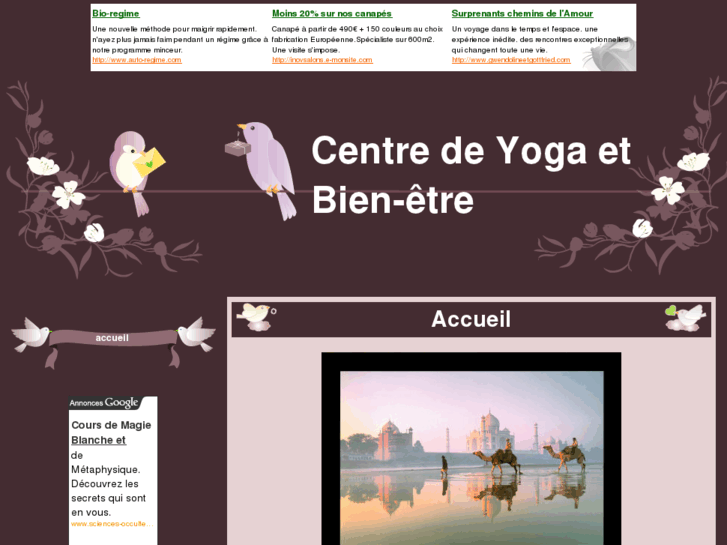 www.centre-yoga-et-bien-etre.com