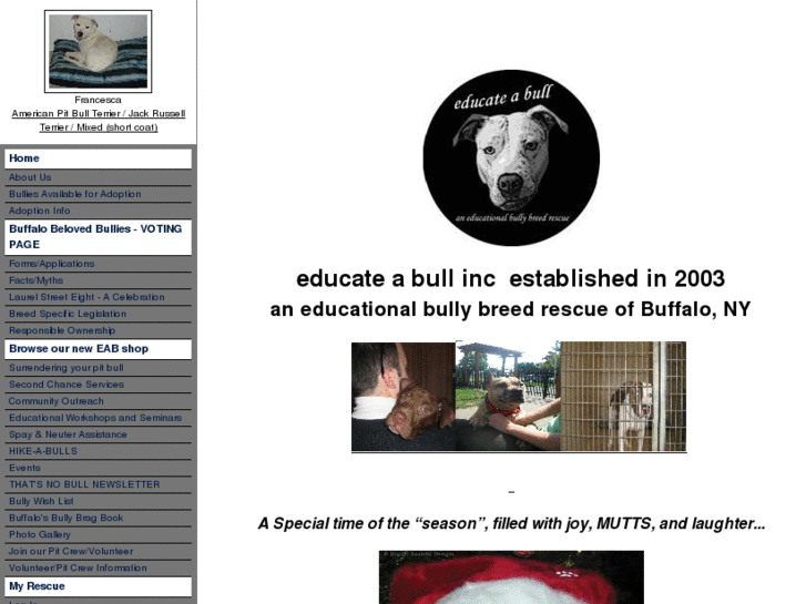 www.educate-a-bull.com