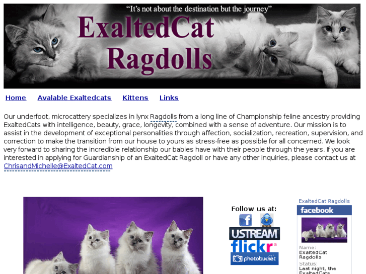 www.exaltedcat.com