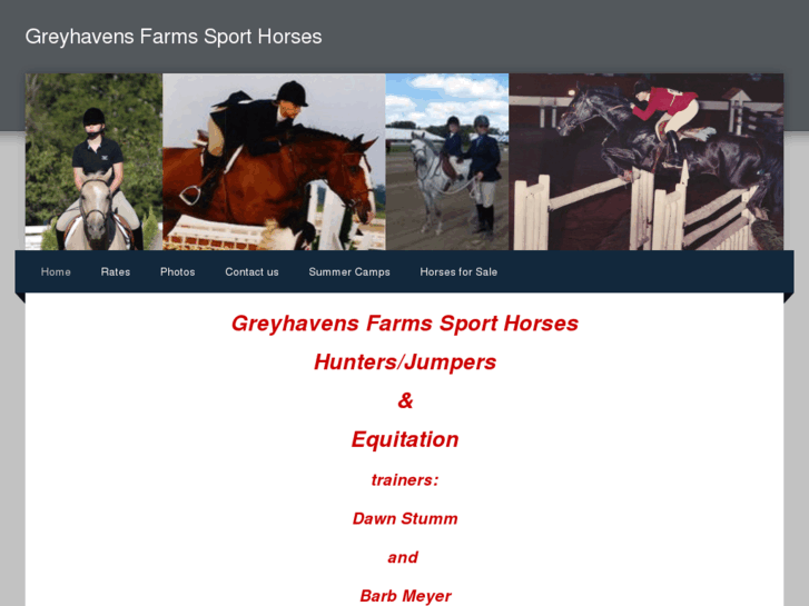 www.greyhavensfarmshunterjumper.com