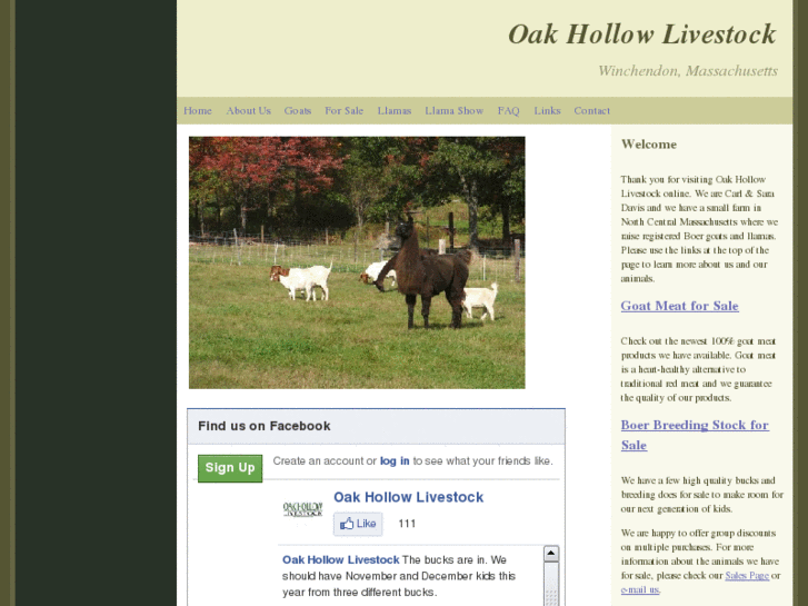 www.oakhollowlivestock.com