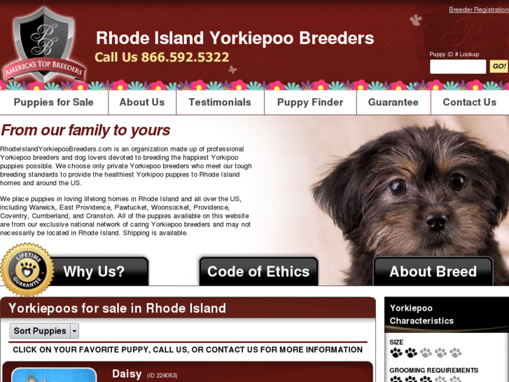 www.rhodeislandyorkiepoobreeders.com