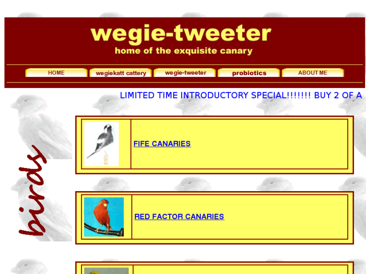 www.wegie-tweeter.com