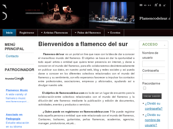 www.flamencodelsur.com