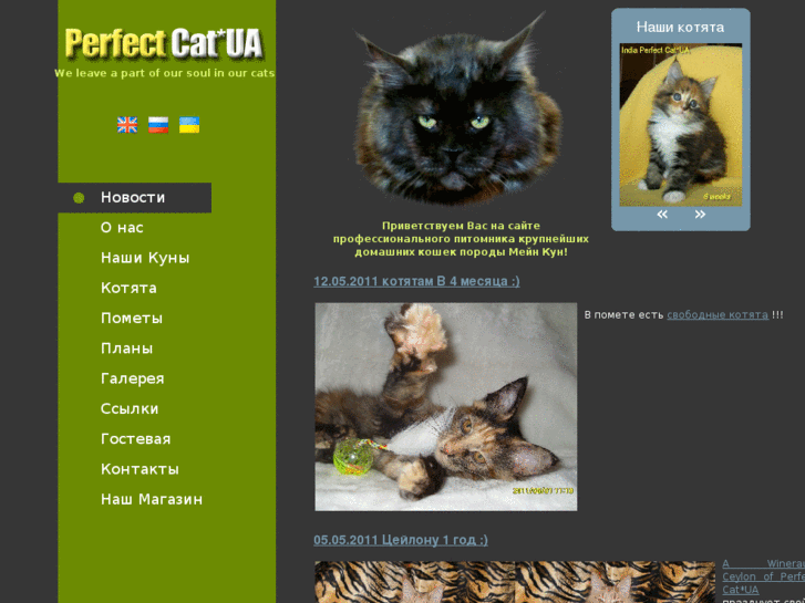 www.perfect-cat.com