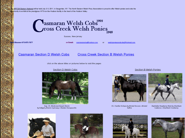 www.casmaranstud.com