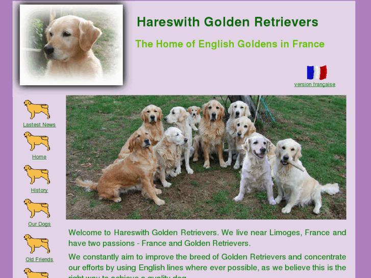 www.englishgoldenretrievers.eu