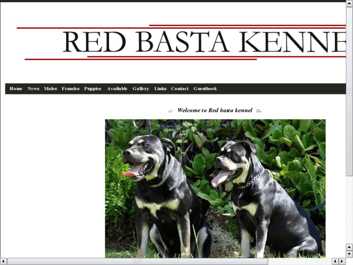 www.redbasta.com