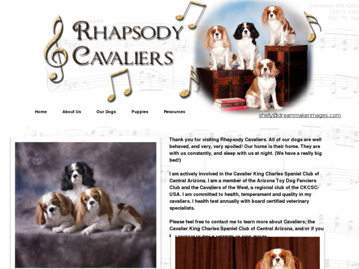 www.rhapsodycavaliers.com