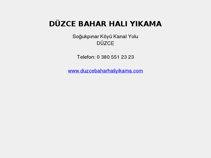 www.duzcehaliyikama.net